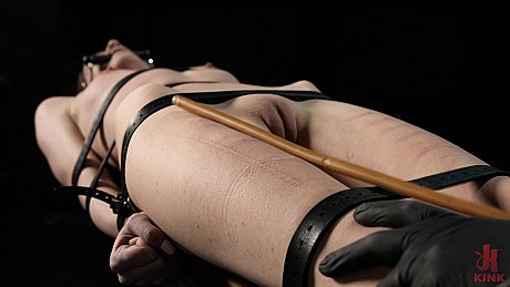 Device Bondage starring Brooke Johnson, The Pope Porn XXX - Image 16 of 20  in Dildo category   featuring The Pope, Brooke Johnson 