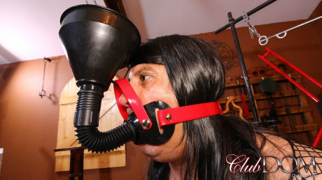 Black haired domme Jean Bardot tortures her masked boy boyfriend stud doll outdoors - #498135