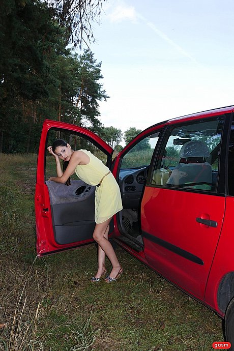 Sexy European babe Coco Kiss sucks a dick and gets hammered on a car - Image 5 of 15  in Hardcore category   featuring Big George, Coco Kiss 