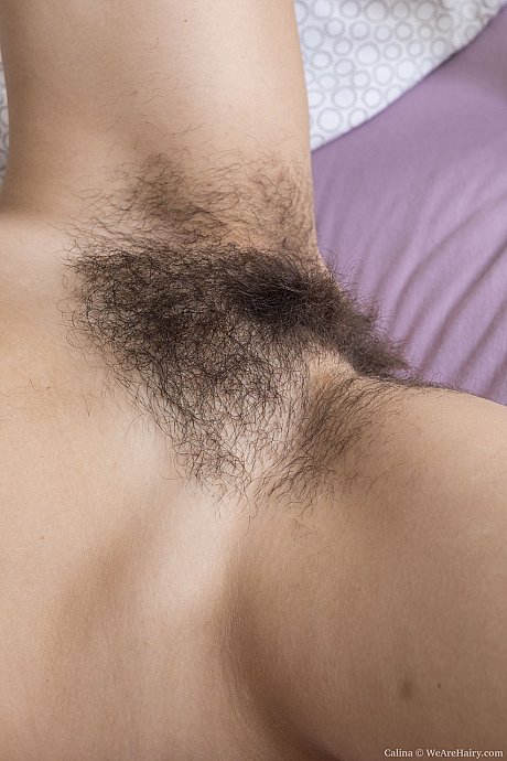 Brunette amateur Calina strips naked & spreads her hairy snatch up close - Image 18 of 20  in Pussy category   featuring Calina 