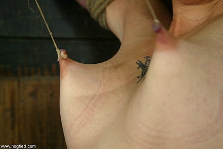 Hogtied performed by Lynn Dumaire Porn Pics - Image 18 of 21  in Dildo category   featuring Lynn Dumaire 