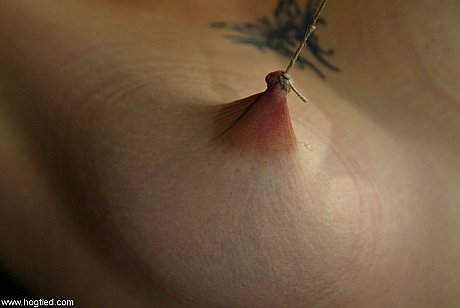 Hogtied performed by Lynn Dumaire Porn Pics - Image 20 of 21  in Dildo category   featuring Lynn Dumaire 