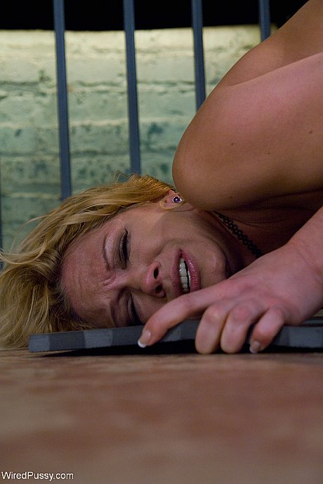 Wired cunt starring Aiden Starr, Rain DeGrey Porn Images - Image 9 of 20  in Lesbian category   featuring Aiden Starr, Rain Degrey 