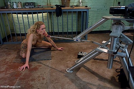 Wired cunt starring Aiden Starr, Rain DeGrey Porn Images - Image 18 of 20  in Lesbian category   featuring Aiden Starr, Rain Degrey 