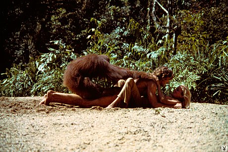 Sweet tasty model dolls posing naked in the nature and showing their superb bodies - Image 4 of 16  in Model category   featuring Bo Derek 