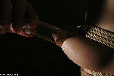 Hogtied featuring Sasha Grey undressed Photos - Image 8 of 21  in Teen category   featuring Sasha Grey 