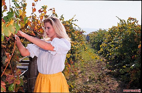 Czech country skank girlfriend woman Daniella Schiffer gets booty plowed in the vineyard - Image 17 of 20  in Pussy category   featuring Daniella Schiffer 