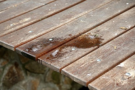 Wild teen Nika peeing in a stream while squatting nude on a bridge - Image 19 of 20  in Outdoor category   featuring Nika Nikola 