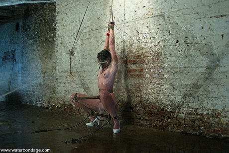 Water Bondage performed by Gretchen Elvgren Hot XXX - Image 9 of 21  in Bondage category   featuring Gretchen Elvgren 