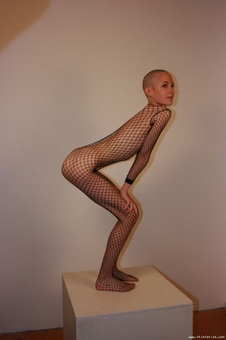 Solo model with a shaved head poses in a fishnet bodystocking - #40214