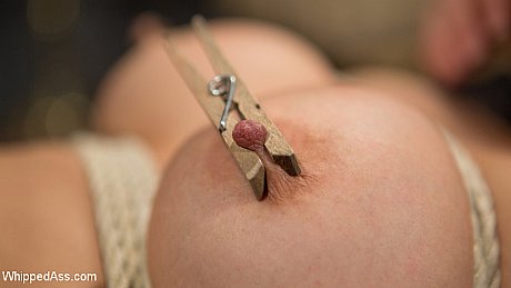 Brunette girl is forced into a lesbian swingers party in a back room - Image 10 of 15  in Lesbian category   featuring Penny Pax, Cherry Torn, Mia Li 