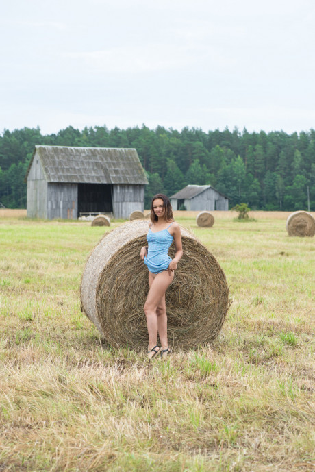 Belarusian sweety Slava stripping and posing buck undressed in a hay field - #329874