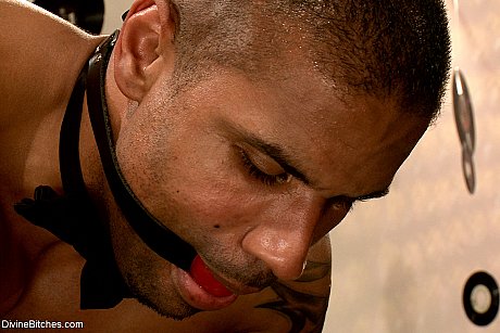 Busty femdom Chanel Preston pegging her strong ball-gagged ebony slave - Image 8 of 21  in Dildo category   featuring Robert Axel, Chanel Preston 