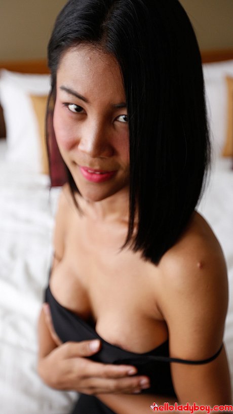 Pretty charming oriental t-girl shows her thin body in a pretty black dress & in fishnets - Image 12 of 21  in Ladyboy category   featuring Cartoon Candy 