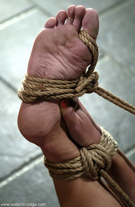 MILF Jenni Lee has her pussy vibrated to climax after an icing in rope bondage - Image 14 of 20  in Pussy category   featuring Jenni Lee 