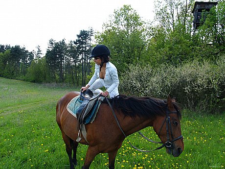 Naughty Polish horse rider Joan White strips completely naked outdoors - Image 3 of 20  in Model category   featuring Joan White 