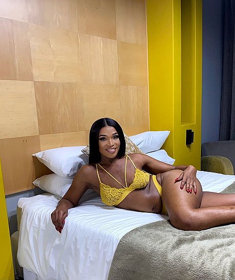 OnlyFans Savannah Lion featuring Savannah Lion Hot Pictures - Image 16 of 20  in Shemale category  