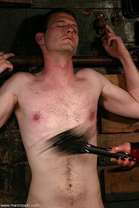 Domina MILF Kym Wilde gives her male sub with a small cock corporal punishment - Image 8 of 16  in MILF category   featuring Kym Wilde, Gavin 