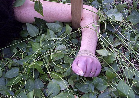 Dark-haired babe Paige Richards gets tied up spread naked in the back yard - Image 12 of 20  in Pussy category   featuring Paige Richards 