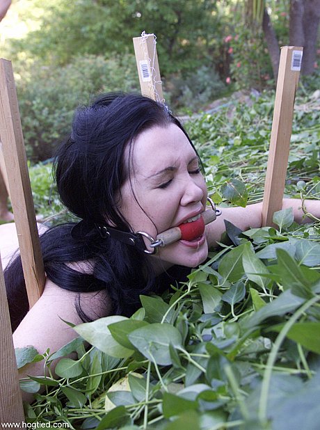 Dark-haired babe Paige Richards gets tied up spread naked in the back yard - Image 17 of 20  in Pussy category   featuring Paige Richards 