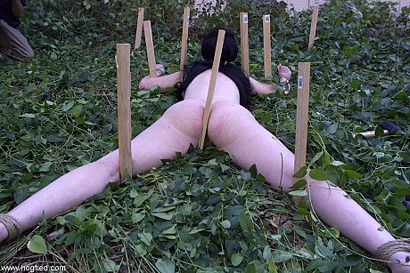Dark-haired babe Paige Richards gets tied up spread naked in the back yard - Image 18 of 20  in Pussy category   featuring Paige Richards 