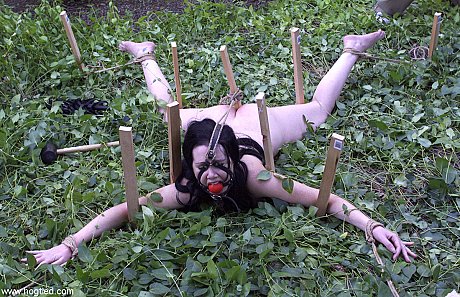 Dark-haired babe Paige Richards gets tied up spread naked in the back yard - Image 20 of 20  in Pussy category   featuring Paige Richards 