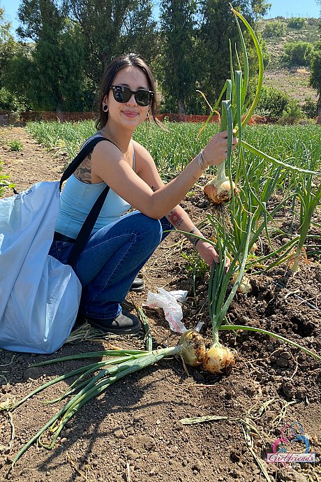 ATK Girlfriends performed by Mi Ha Doan naked Gallery - Gallery #34349