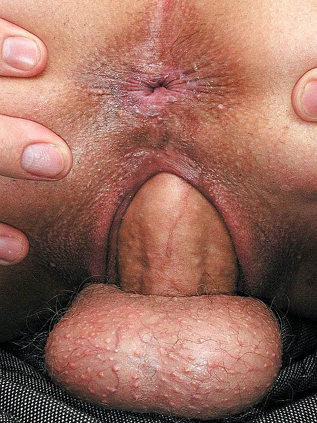 Hot cougar gets her cunt filled by an mature hubby boy dude dong on a couch - Image 9 of 21  in Teen category  