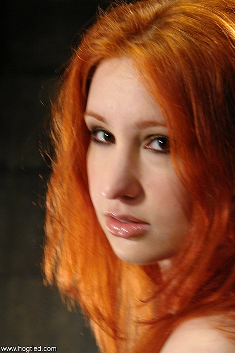 Hogtied featuring Calico naked Images - Image 4 of 21  in Dildo category   featuring Calico 