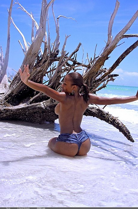 Ebony model Tierra poses undressed and flaunts her humongous shiny melons on the beach - Image 13 of 20  in Outdoor category   featuring Tierra Watson 