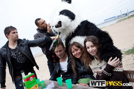 College students get drunk with help from a panda prior to group sex - #988500