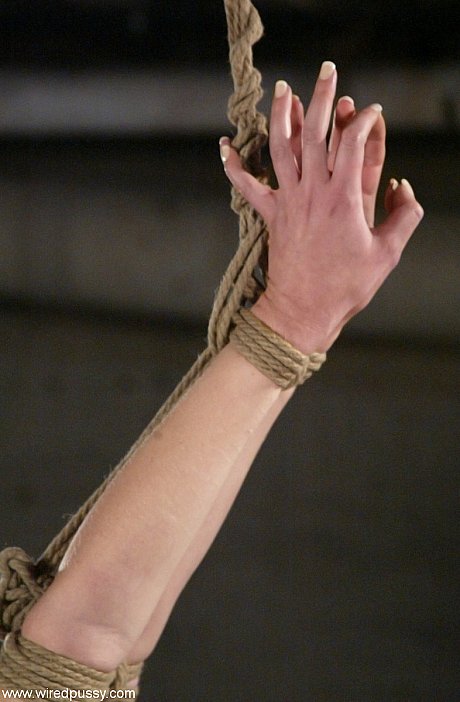 Wired twat featuring Princess Donna Dolore, Sarah Jane Ceylon Porn Gallery - Image 10 of 21  in Lesbian category   featuring Princess Donna Dolore, Sarah Jane Ceylon 