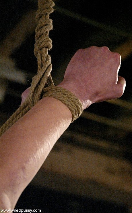 Wired twat featuring Princess Donna Dolore, Sarah Jane Ceylon Porn Gallery - Image 17 of 21  in Lesbian category   featuring Princess Donna Dolore, Sarah Jane Ceylon 