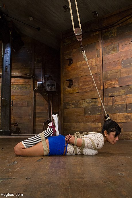 Brunette latina with giant titties Beretta James gets tied up and toyed - Image 3 of 20  in Lesbian category   featuring Beretta James, Claire Adams 