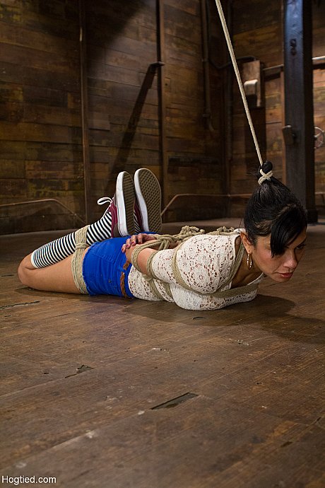 Brunette latina with giant titties Beretta James gets tied up and toyed - Gallery #28116