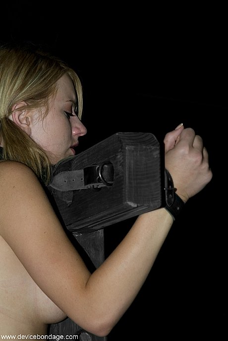 Nude babe in bondage Charley Chase gets poked with a vibrator - Image 12 of 20  in Dildo category   featuring Lexi Belle 