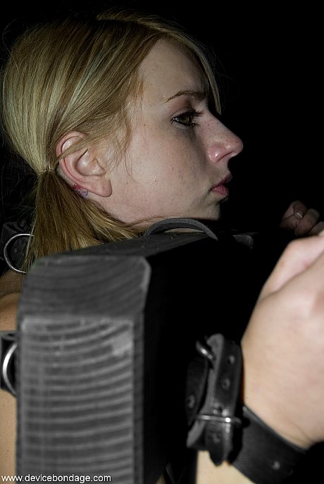 Nude babe in bondage Charley Chase gets poked with a vibrator - Image 20 of 20  in Dildo category   featuring Lexi Belle 