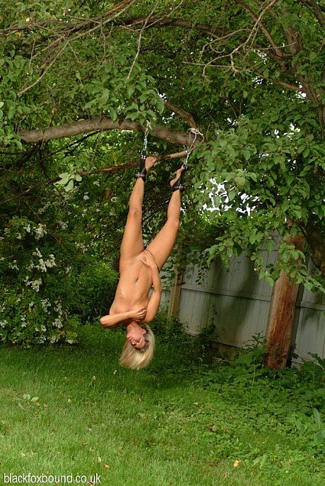 Nude blonde bitch woman is hung upside down from a tree in handcuffs and ball gag - Image 3 of 16  in Outdoor category  