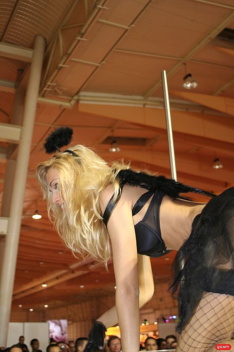 Portuguese pole dancer Erica Fontes gives her handsome client a lap dance - Image 14 of 15  in Amateur category   featuring Erica Fontes 