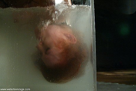Water Bondage starring Sabrina Fox XXX Gallery - Image 15 of 21  in Tiny Tits category   featuring Sabrina Fox 