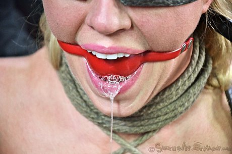 2 busty females are restrained in humiliating ways in cage - Image 10 of 16  in Pussy category   featuring Dee Williams 