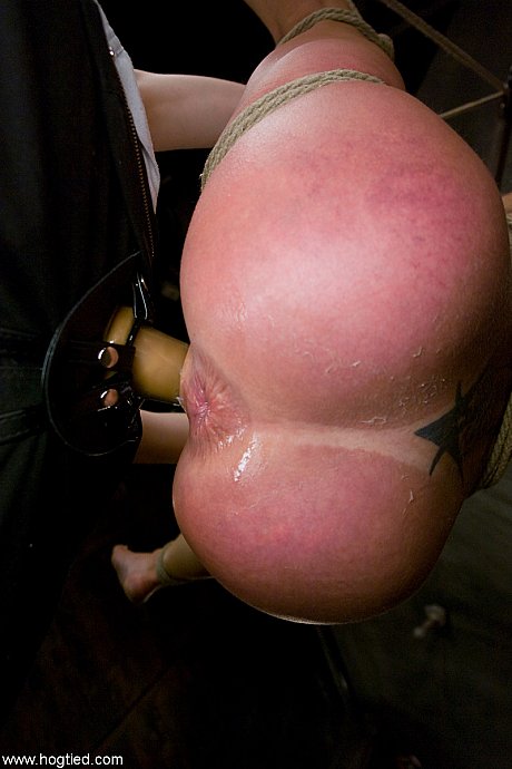 Domina MILF Felony fucking Claire Adams with a strapon in BDSM lesbian action - Image 14 of 20  in Big Clit category   featuring Felony, Claire Adams 