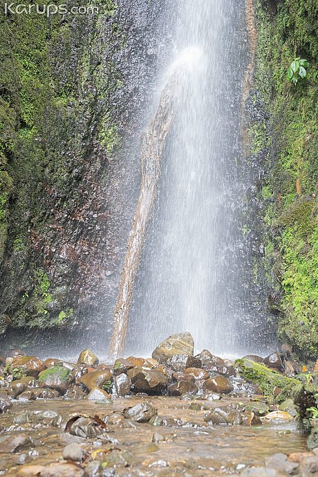 Karups Hometown Amateurs featuring Kendall Rose naked Photos - Image 2 of 21  in Outdoor category   featuring Kendall Rose 