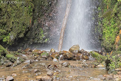 Karups Hometown Amateurs featuring Kendall Rose naked Photos - Image 3 of 21  in Outdoor category   featuring Kendall Rose 