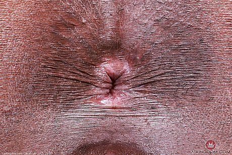 ATK Exotics Hot Porn - Image 21 of 21  in Pussy category  