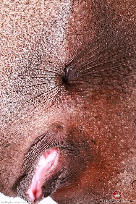 ATK Exotics undressed XXX - Image 21 of 21  in Pussy category   featuring Poppy Cox 