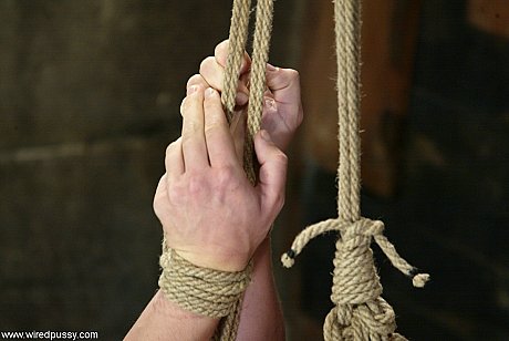 Wired vagina starring Bobbie Kat, Harmony Hot Porn - Image 16 of 21  in Lesbian category   featuring Harmony, Bobbie Kat 