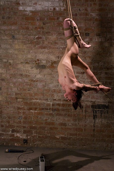 Wired cunt performed by Amie, Isis Love Hot Pics - Image 21 of 21  in Lesbian category   featuring Isis Love, Amie 