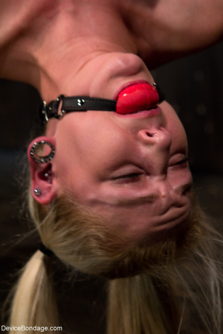 Device Bondage Rylie Richman, Serena Blair - #1182269