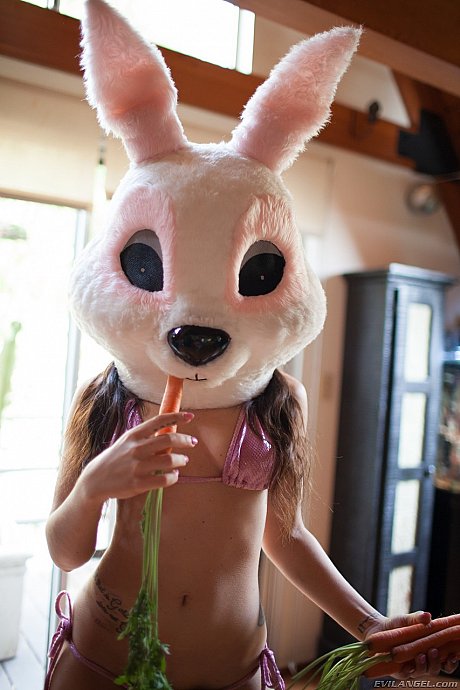 Bare-breasted slut broad Gabriella Paltrova flaunting nice boobies in cosplay bunny head - Image 9 of 15  in Close Up category   featuring Gabriella Paltrova 